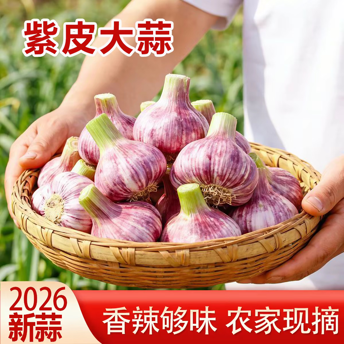 2026年紫皮大蒜新鲜湿蒜 蒜香十足 生鲜蔬菜 净重3斤