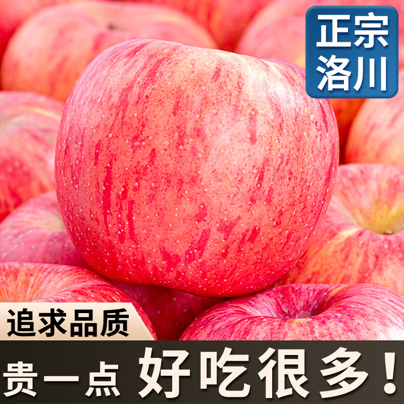京愿洛川苹果水果脆甜陕西红富士延安苹果整箱新鲜水果生鲜 优选5斤【脆甜多汁】（净重4.5斤）