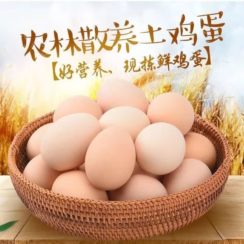 食怀正宗河南农村散养鲜鸡蛋农家散养土鸡蛋营养蛋初生蛋 正宗河南散养土鸡蛋 10枚土鸡蛋【0.8斤】