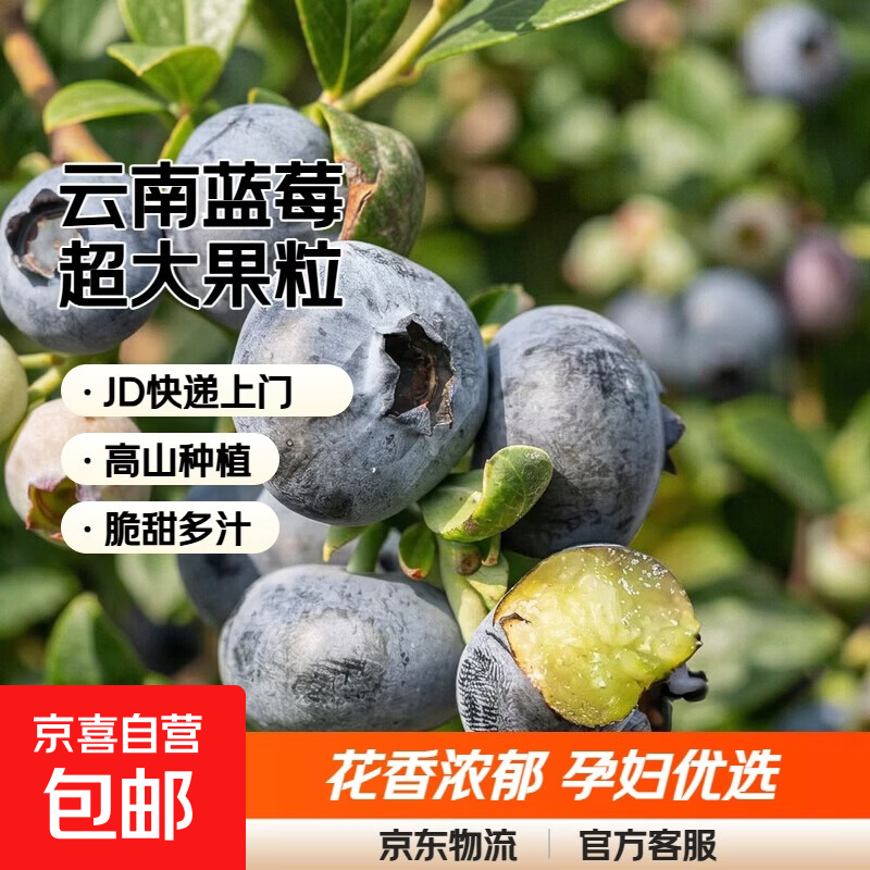 京喜加国产云南蓝莓JD快递超大果蓝莓孕妇新鲜水果单盒净重70g+ 花香蓝莓18mm+ 2盒装