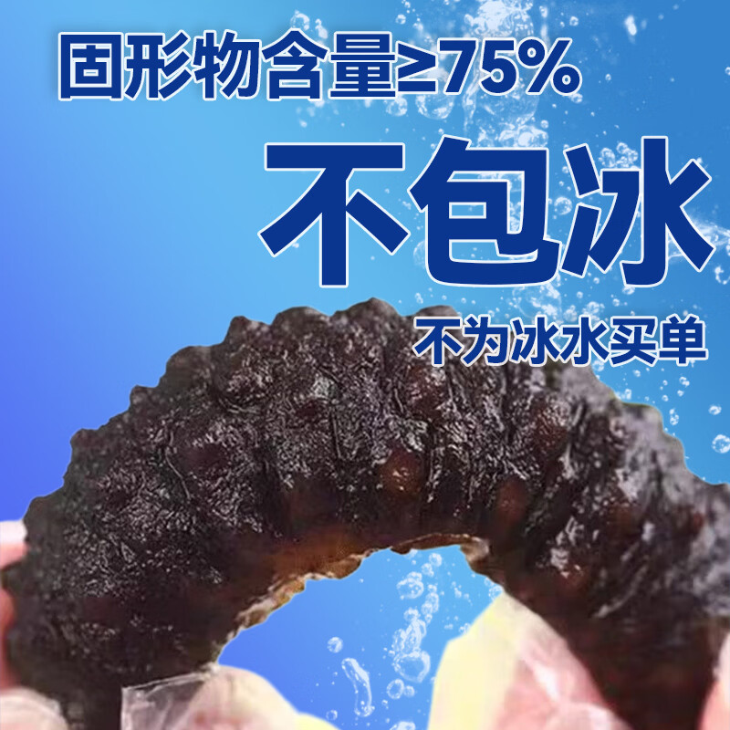 亿鲜笙鲜蒸即食海参鲜活加工佛跳墙食材大连辽刺参中老年滋补高营养海参 13-20只/斤【深海捕捞野货特筋道】 3斤装【送海参鸡1盒】