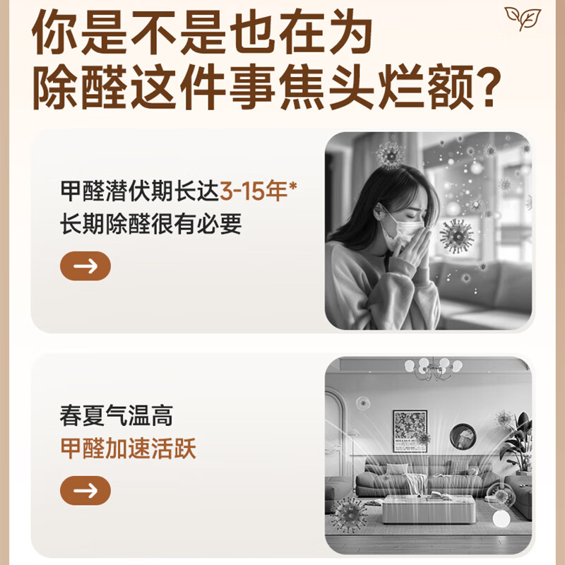 绿之源除甲醛室内去甲醛神器甲醛清除剂新车除甲醛除异味新车内除味除臭 强效持久除醛魔盒【一盒就够了】 150g 1盒