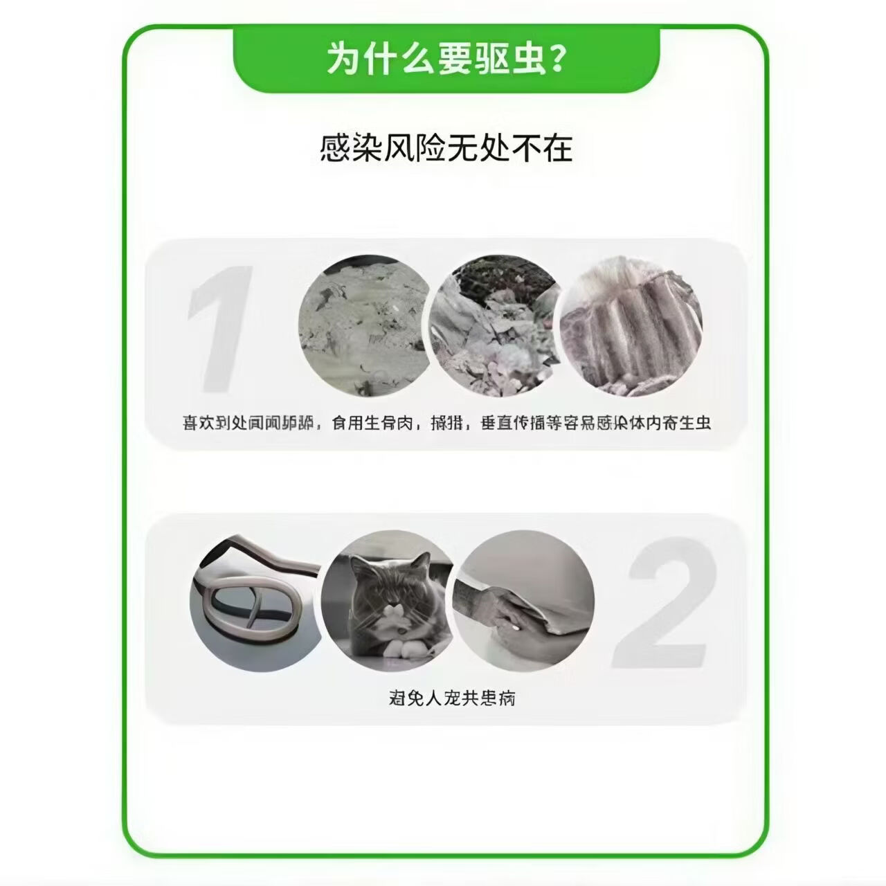 Bepanthen德国进口拜宠清猫咪口服体内驱虫绦虫蛔虫绦虫 八粒拆售[不带盒］ 8粒*1板