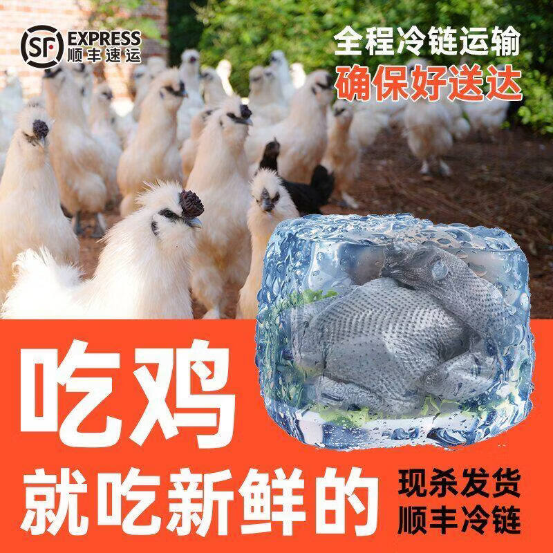 泰和原种乌鸡整鸡现宰现发农家五谷散养走地鸡山鸡真空包装滋补 660g