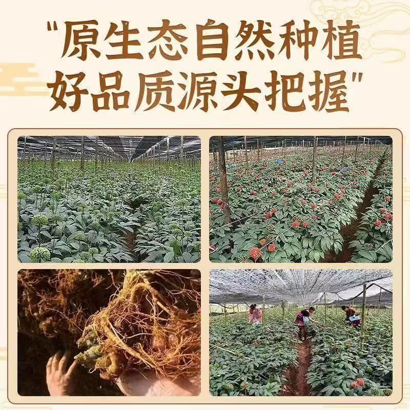 同仁堂(TRT)云南文山纯三七粉 超细特级正宗三七粉 活血化瘀缓解乏力冲饮即食 特级文山三七粉 250g*4罐