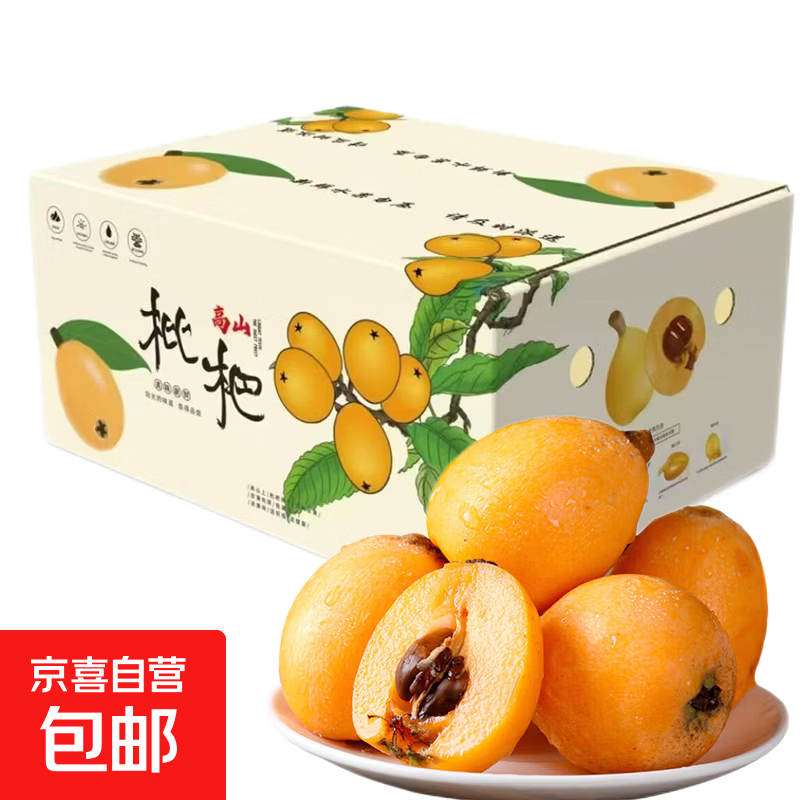 四川攀枝花米易枇杷高山甜枇杷现摘应季新鲜水果生鲜 1.4斤装 净重 中果20g+