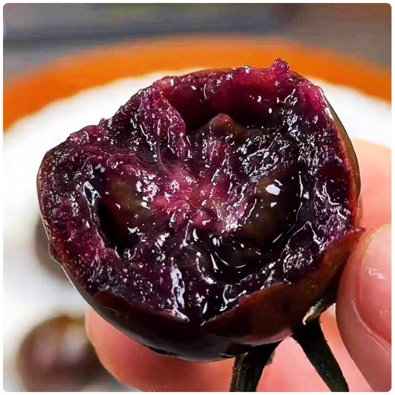 山东寿光圣女果黑色小番茄即食花青素黑玫瑰黑珍珠 500g 净重0.8-1.2斤 小果