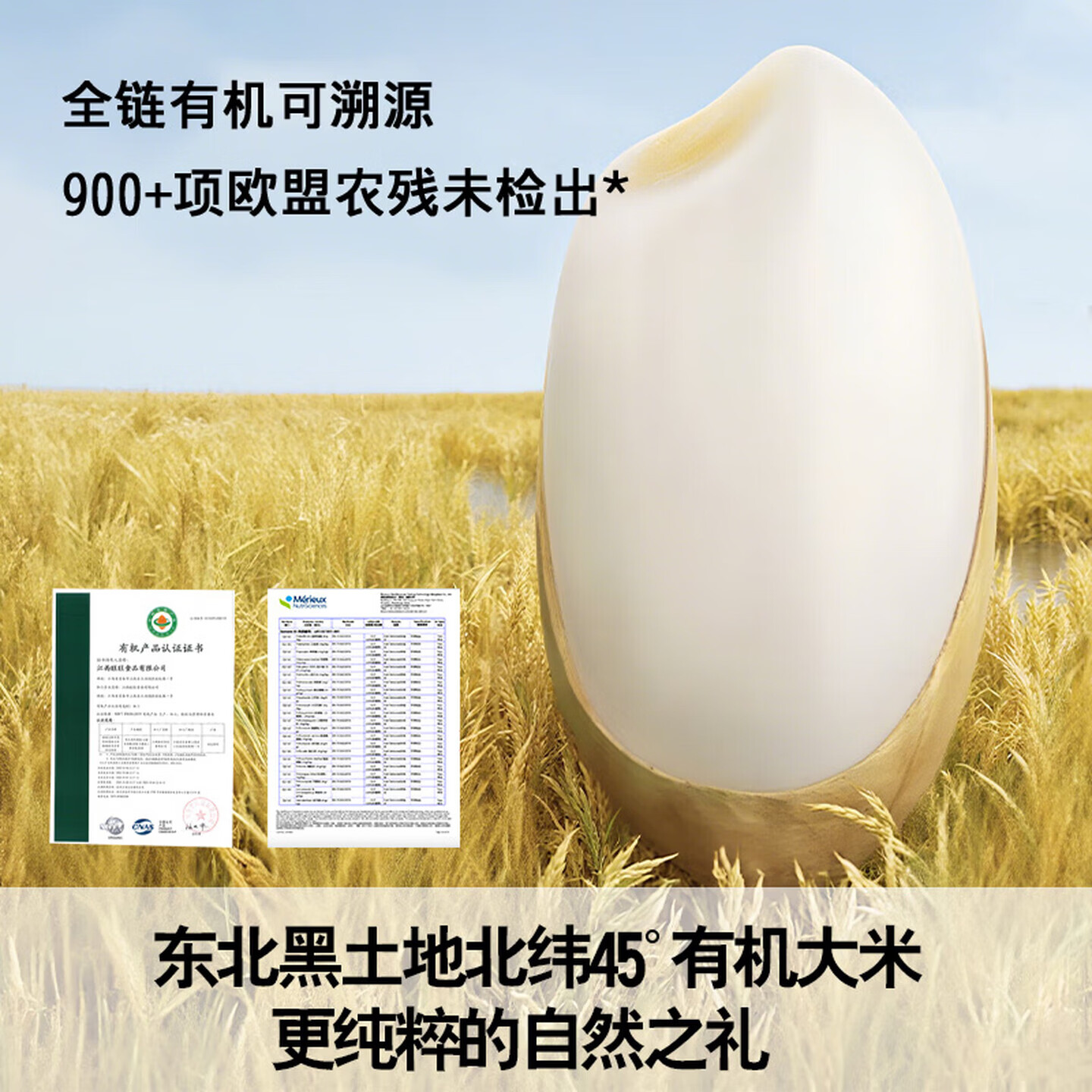 贝比玛玛辅食米饼宝宝磨牙饼干儿童米饼原味蔬菜米饼儿童饼干 【5盒装】婴标有机米饼40g