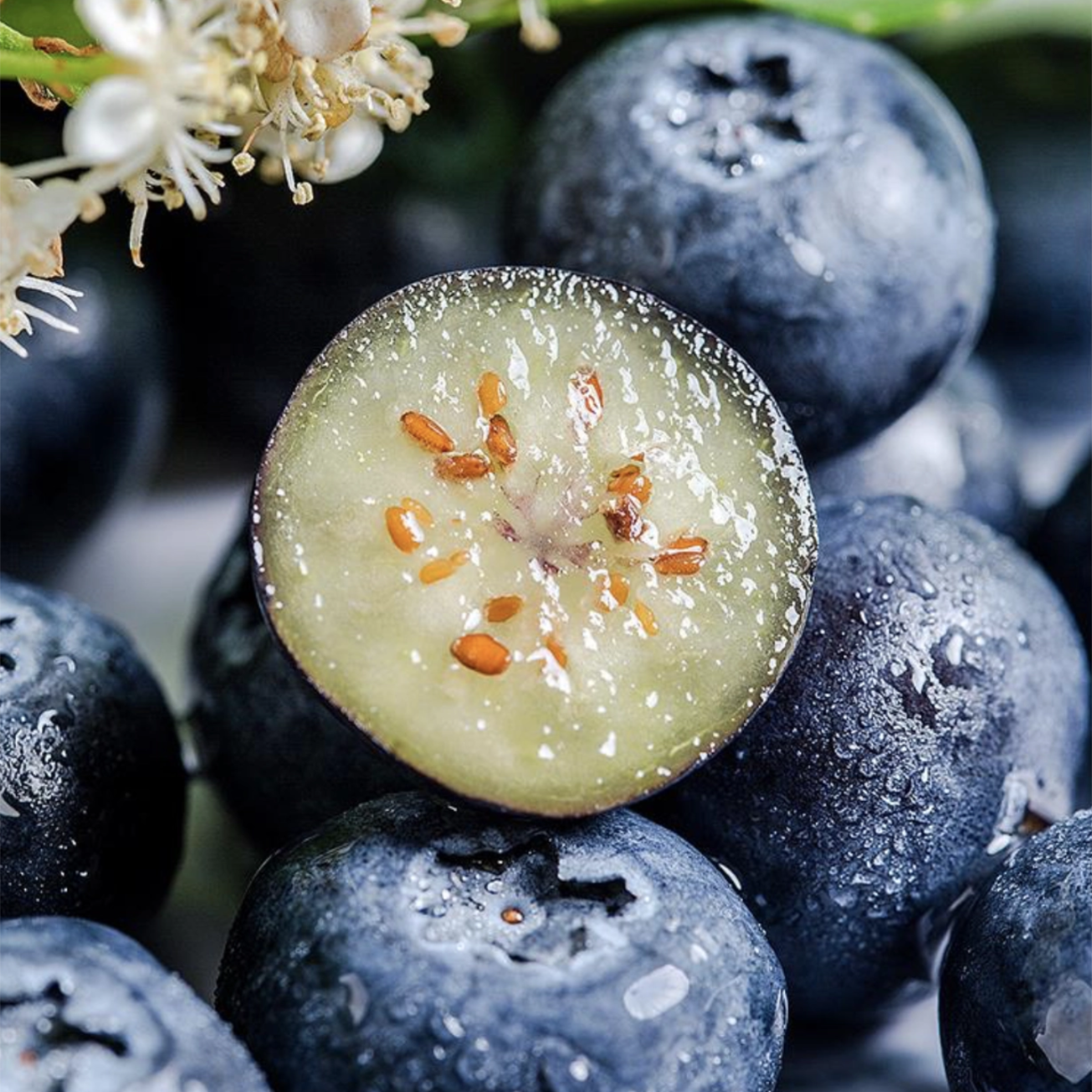 【云南特产】正宗云南高山蓝莓新鲜蓝莓 12mm 15mm应季新鲜水果 【经济实惠】100g *8盒｜12mm+