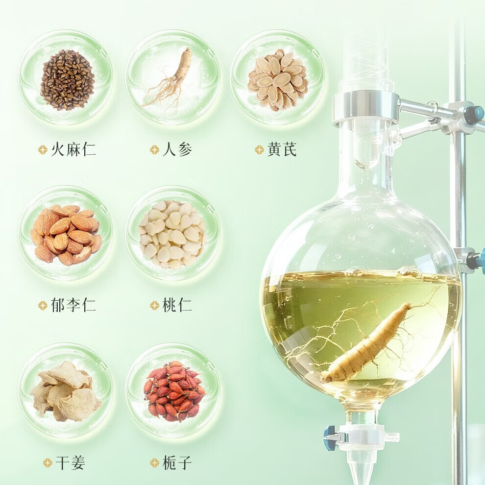 恒寿堂噗噗粉人参黄芪火麻仁益生菌男女膳食纤维益生元代餐非酵素 【进阶益生菌款-尝鲜装】 10条*1盒 专利膳食纤维+进口益生菌+三大益生元