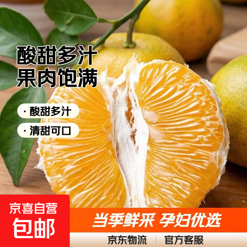 现货正宗常山胡柚新鲜水果当季水果柚子西柚孕妇水果浙江酸甜多汁 常山胡柚（单果70-90mm）净重5斤