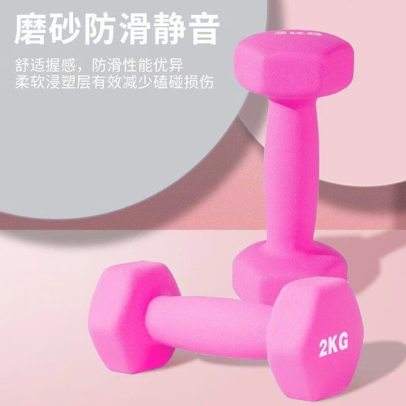 哑铃女士健身家用器材哑铃男士健身家用器材实心家用哑铃2kg一对 紫色 0.5kg仅一只