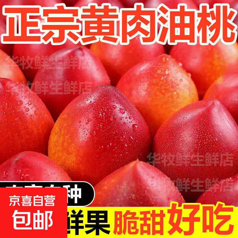 湖北黄肉油桃新鲜应季水果脆甜可口黄心桃子一整箱批发 带箱5斤中果 净重4.5斤（单果60g+）