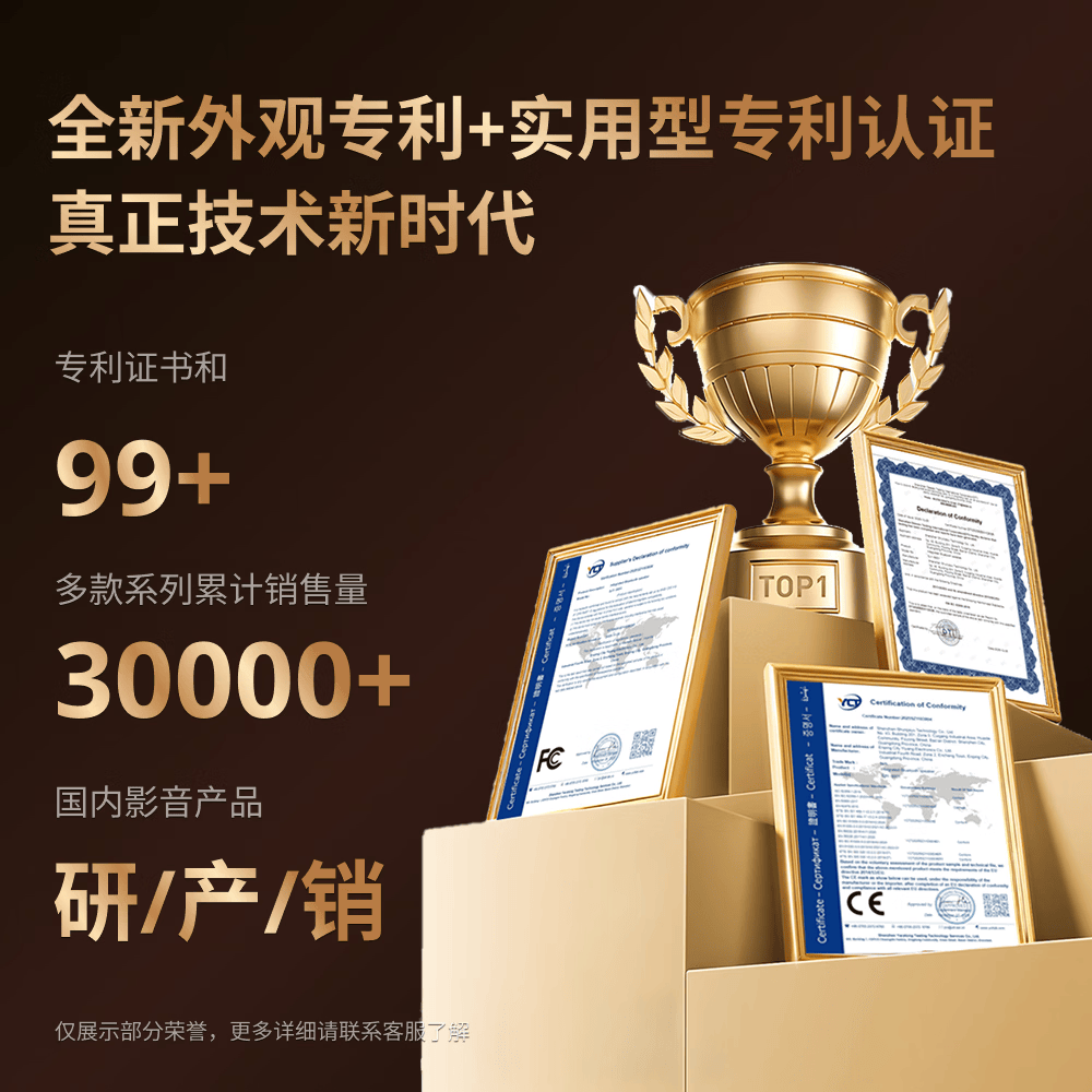 YY SOUND 有线麦克风话筒无线麦克风动圈麦克风吉他弹唱K歌唱歌户外音响会议舞台话筒 【舞台演出】SYJ-M15
