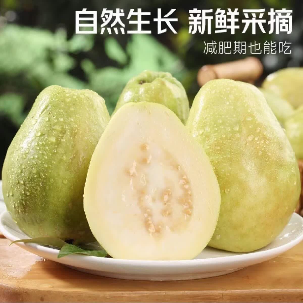 鲜耐软糯白心芭乐新鲜低糖芭乐 净重1斤