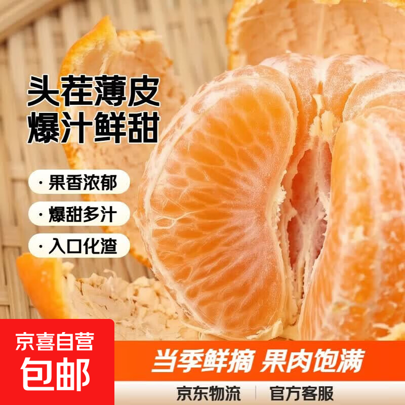 沃柑头茬薄皮桔子当季新鲜水果橘子10斤整箱批发酸甜爆汁皮薄肉厚 中果（单果60mm+） 5斤带箱净重4.5斤