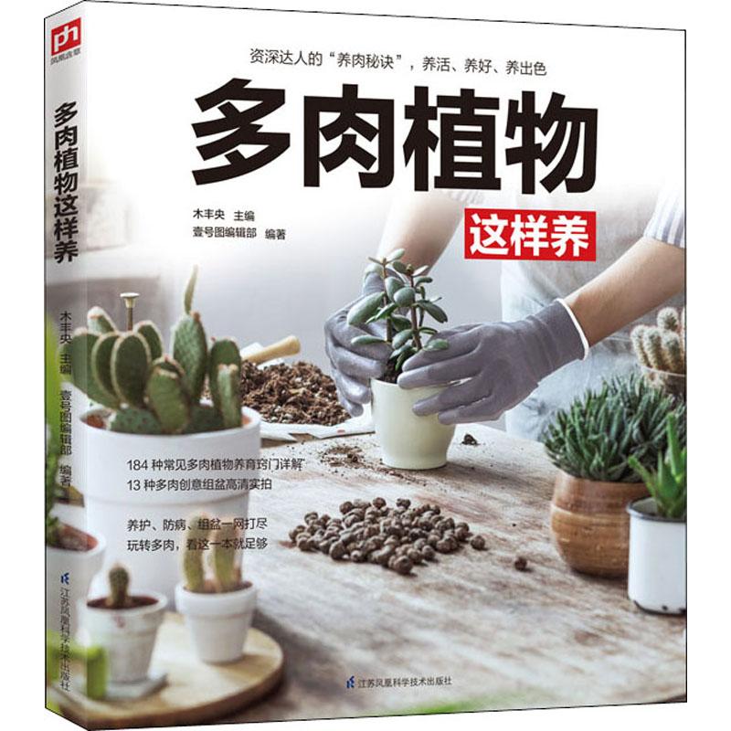 多肉植物这样养
