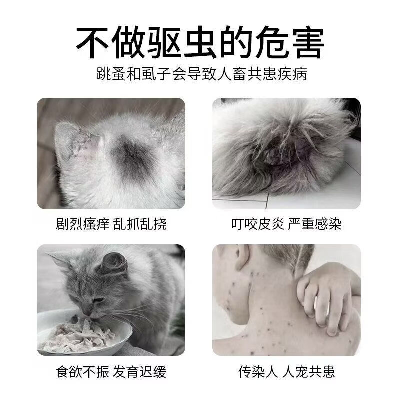 大宠爱（Revolution）大宠爱猫咪驱虫套餐猫驱虫药内外同驱宠物用除耳螨跳蚤滴剂 成猫整盒【刮码】 3支*1盒