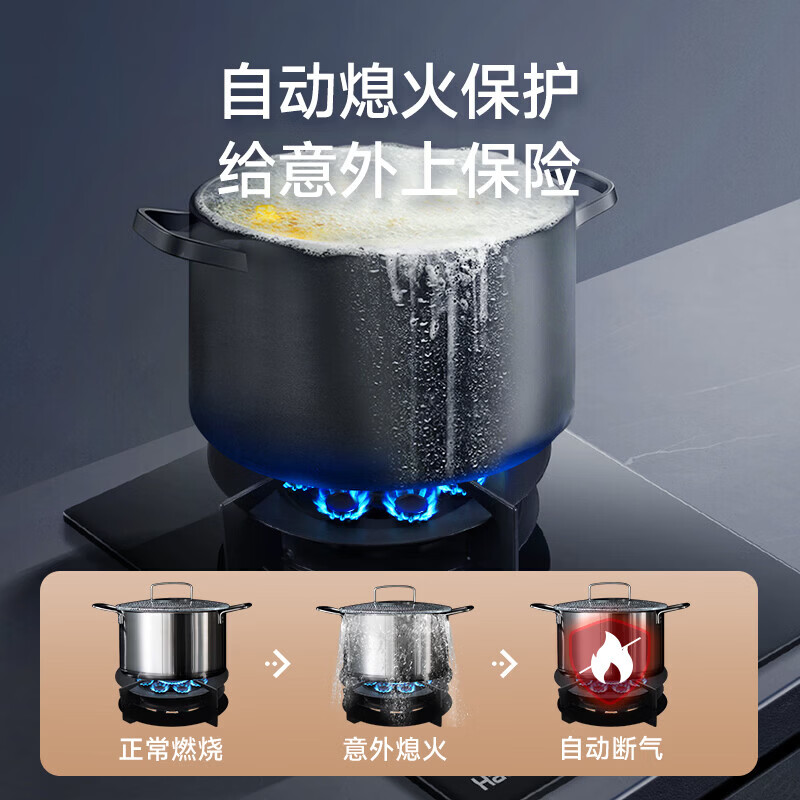 Haotaitai燃气灶天然气单灶一级能效家用煤气灶猛火灶具 天然气12T 【如需液化气联系客服】 210A【猛火灶】