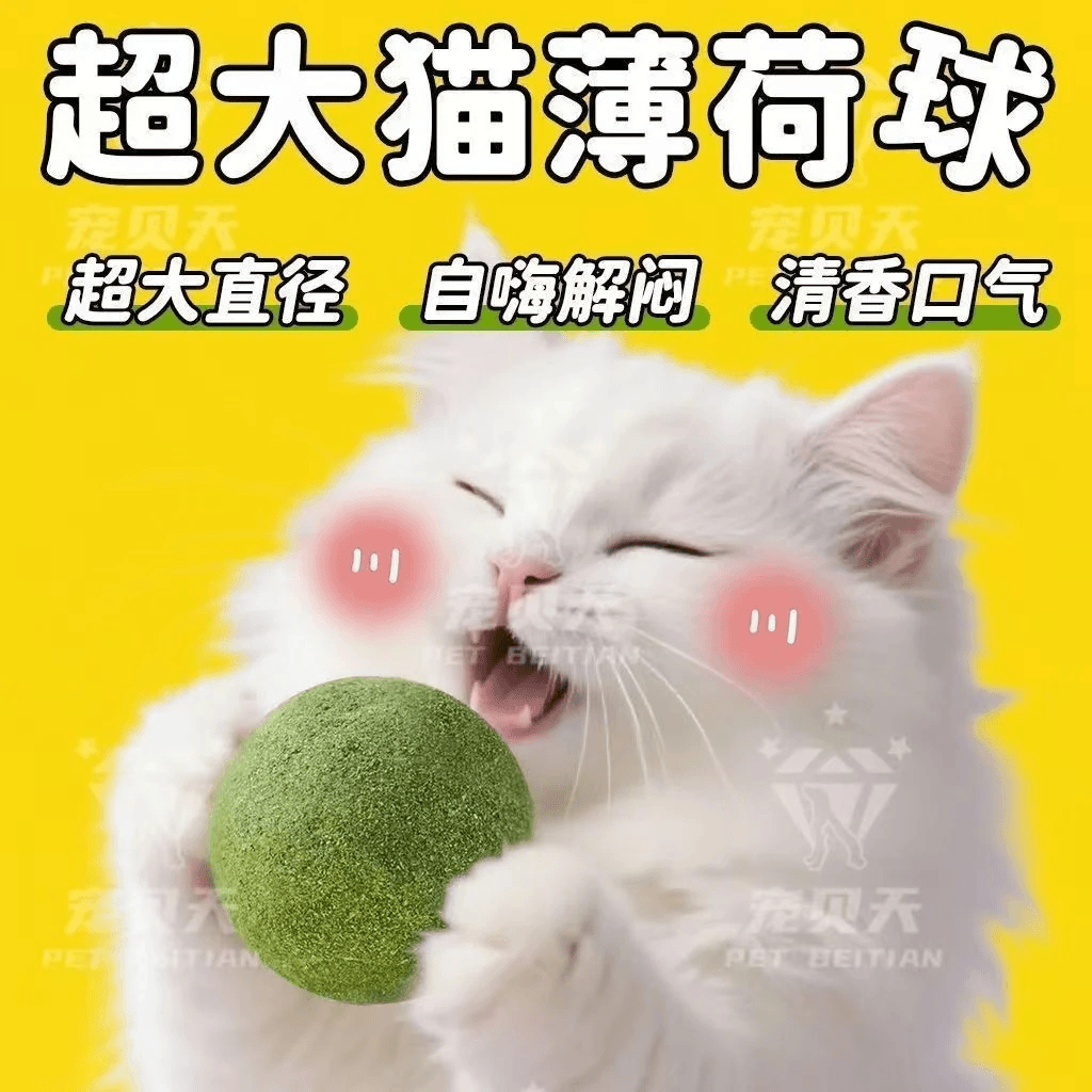 猫玩具超大猫薄荷球小猫自嗨解闷神器磨牙耐咬逗猫棒宠物猫咪用品 超大薄荷球【10cm】（更喜欢）