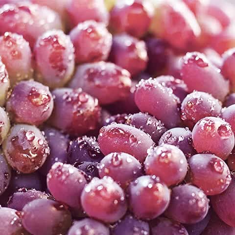 异果恋【顺丰】云南茉莉香葡萄 脆甜无籽应季新鲜水果红提子多地次日达 2斤装净重