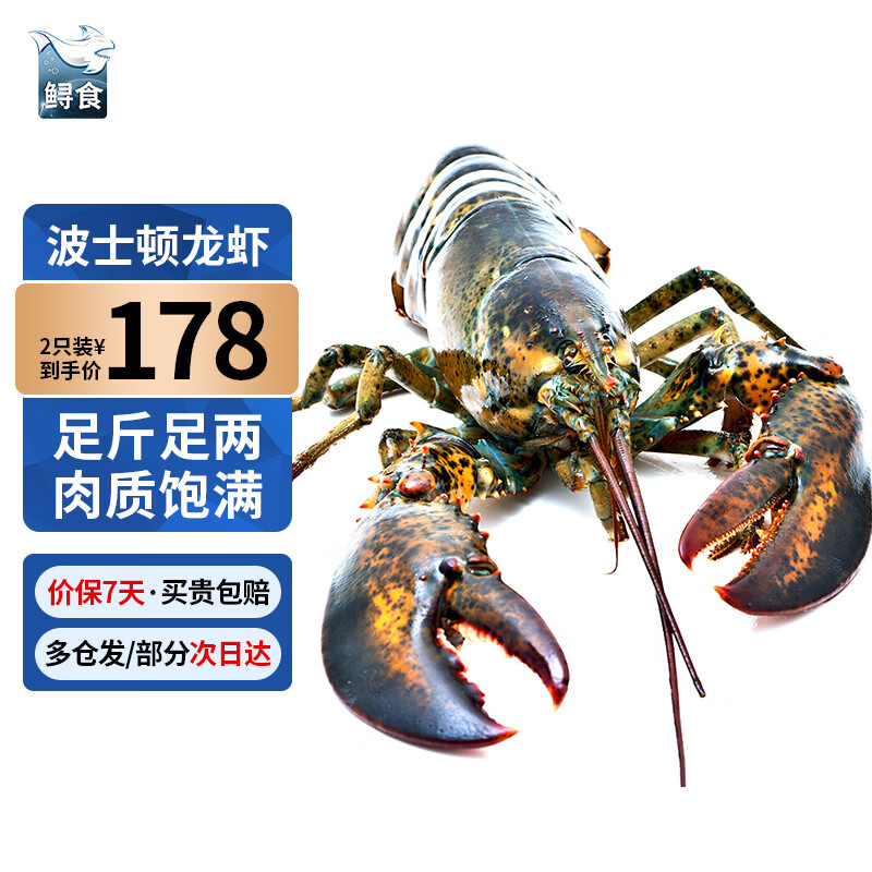 鲟食 波士顿龙虾冰鲜冷冻大波龙澳龙大龙虾生鲜虾类节日送礼 波士顿龙虾【生冻】 2只装（净重400-500g/只）实惠