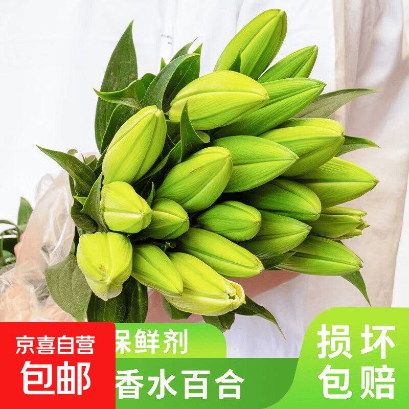 【渠道专享1】康乃馨鲜花云南基地直发水养花束母亲节520礼物 随机混色百合6朵