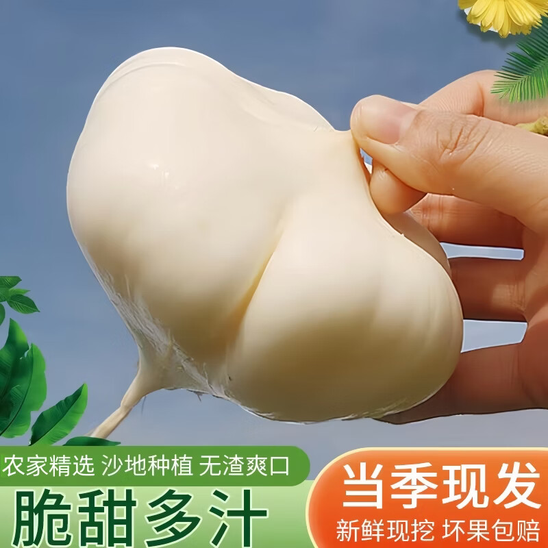 豔疅湖北新鲜凉薯地瓜生鲜现挖白心水果白番红薯玉农家米花生山药蔬菜 净重5斤【大果 约6-7个】脆甜多汁 | 单果300g+