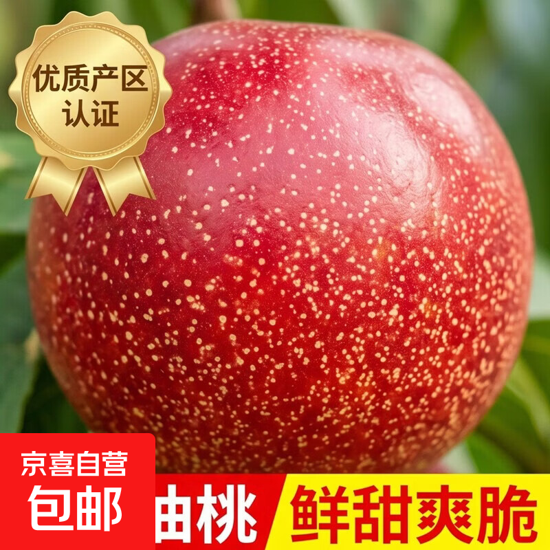 山东油桃新鲜大桃子应季孕妇水果香甜脆多汁蜜桃 带箱5斤 净重4.5斤（单果80-150克）