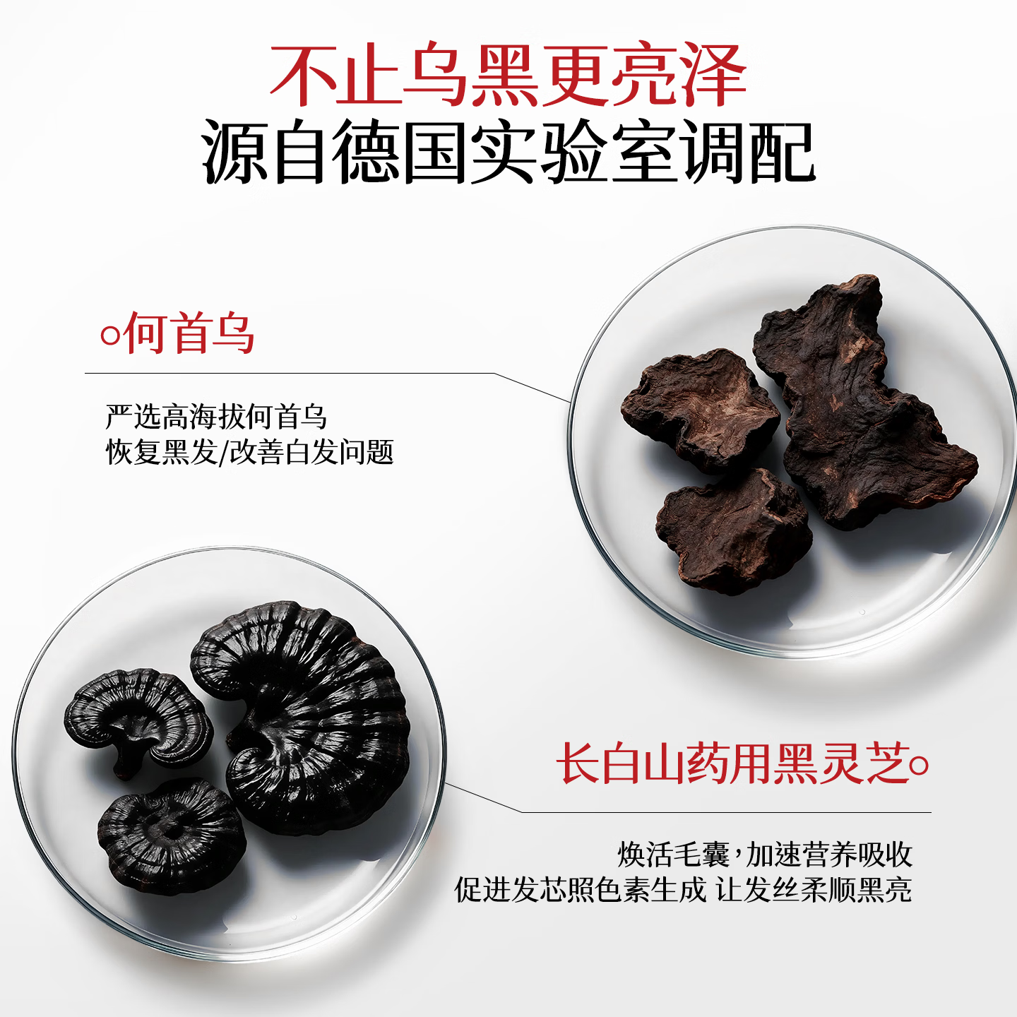 OSXE【进口原料】黑灵芝何首乌洗发水根源白头发转黑发强韧发根养黑 【白发专用】轻度1瓶见效装500ml*1