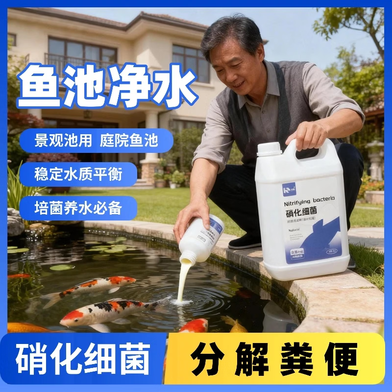 庭院鱼池硝化活菌净化水质分解粪便养鱼除藻鱼池除绿藻青苔净水ty 硝化细菌2.45L
