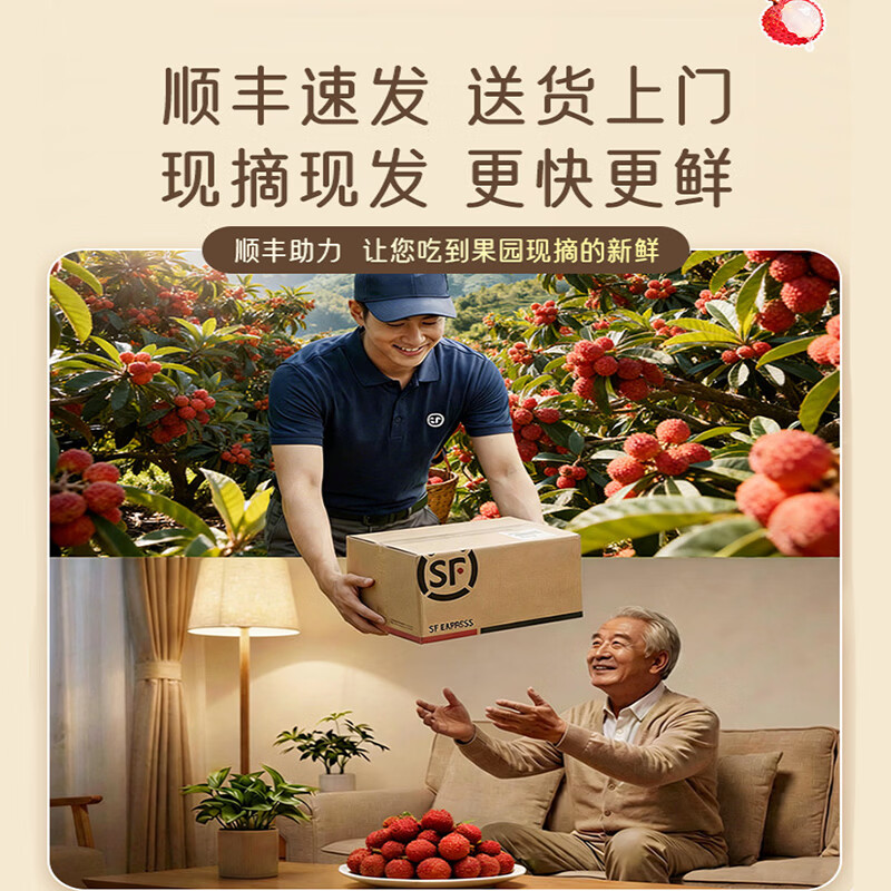 小筑倾橙海南妃子笑荔枝【顺丰冷链】海南新鲜孕妇端午水果礼盒当季整箱 5.5斤中果实惠优选带箱 净果4.6斤