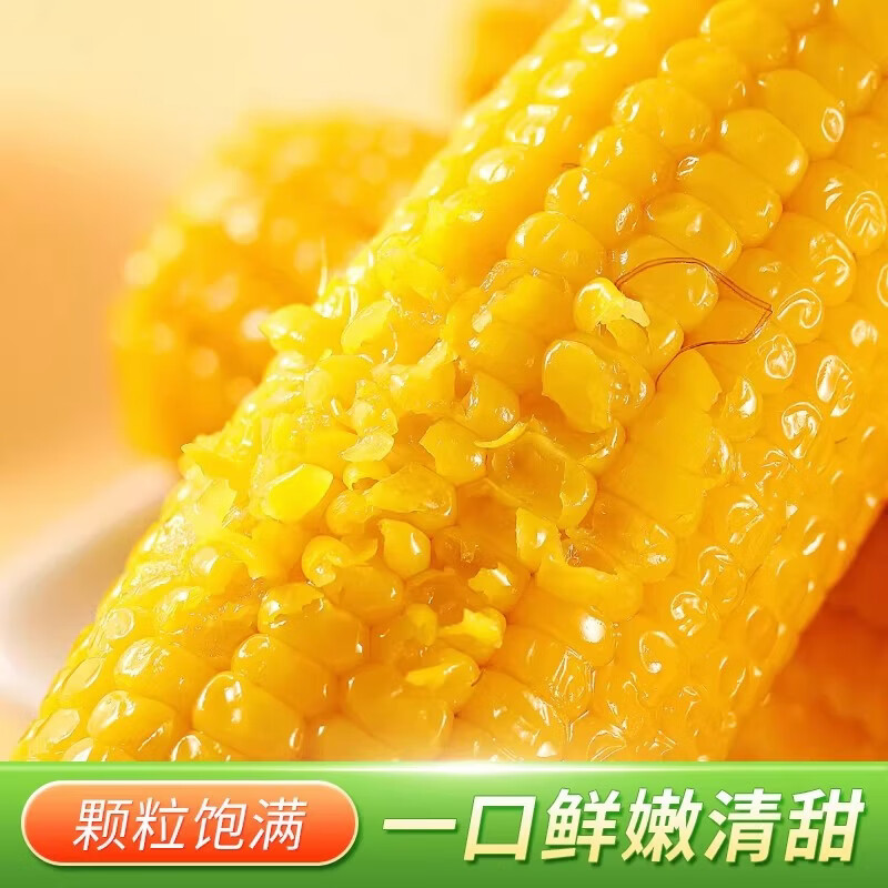 佟创东北黄糯玉米棒 新鲜甜糯玉米棒 代餐轻食真空包装黏粘玉米 糯玉米约12棒 净重5斤【囤货优选】