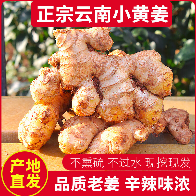 言片光云南小黄姜生姜黄姜沙姜月子姜罗平新鲜蔬菜火锅食材 带箱5斤【净重4.5斤】精选小黄姜