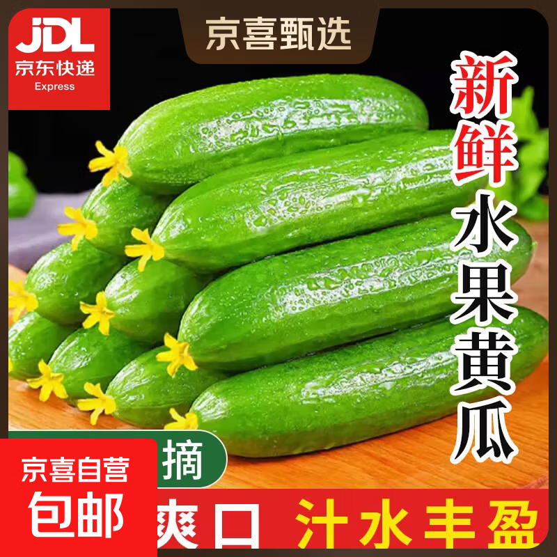 【超市品质】山东新鲜水果黄瓜嫩青瓜生吃蘸酱生鲜蔬菜减肥搭配 山东水果黄瓜 2斤 （净重 1.7斤）