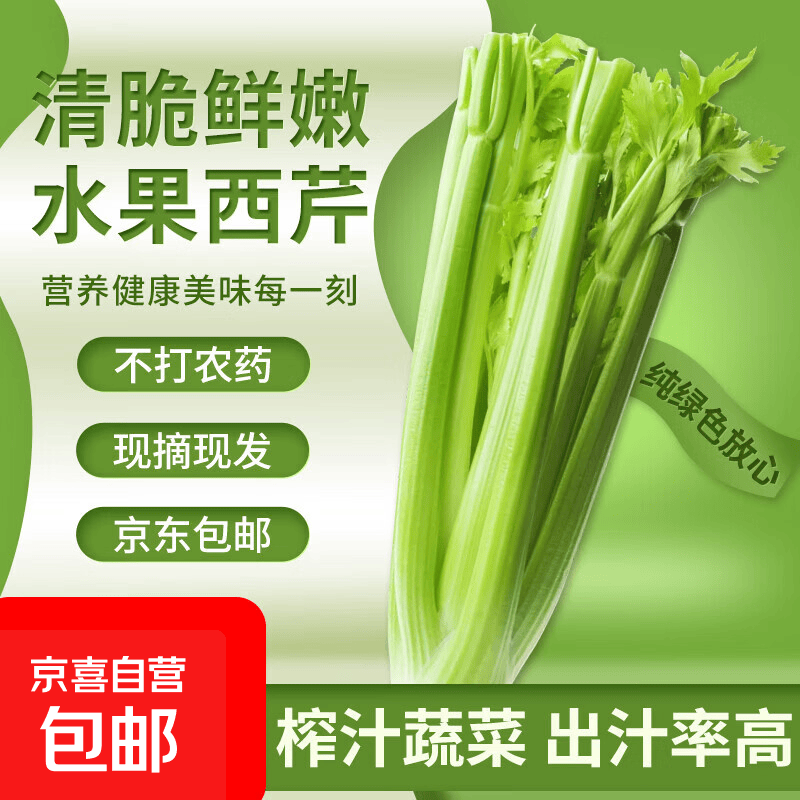 新鲜水果西芹芹菜人工筛选榨汁必备现摘现发沙拉凉拌时令蔬菜 5斤【含箱重】