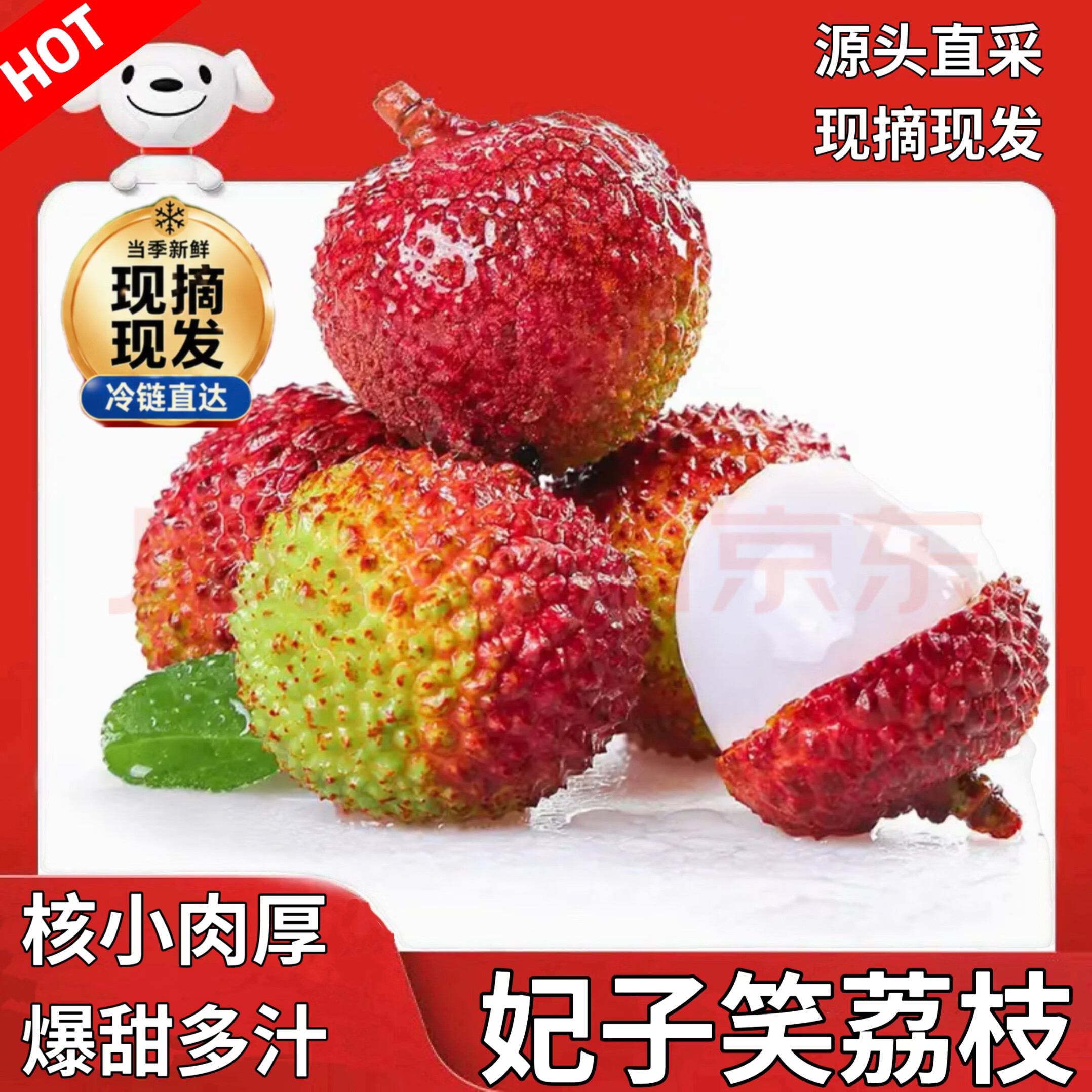 靓七果妃子笑荔枝源头直采新鲜现摘现发肉厚核小甜蜜爆汁【B2】 6斤金标精选品质果【净重4.5斤】单果18g+