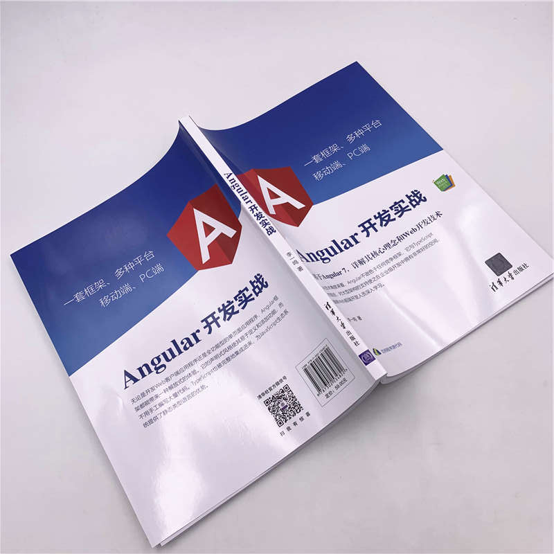 Angular开发实战（Web前端技术丛书）详情图
