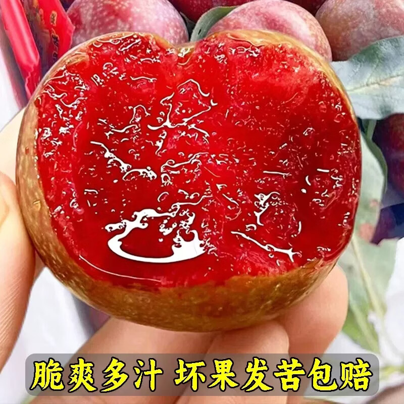 信宜钱排银妃级2斤装三华李红心甜辣酸脆(脆:冷藏;甜:常温) 净重2斤(尝鲜装贵在运费) 大果(一斤15个左右)