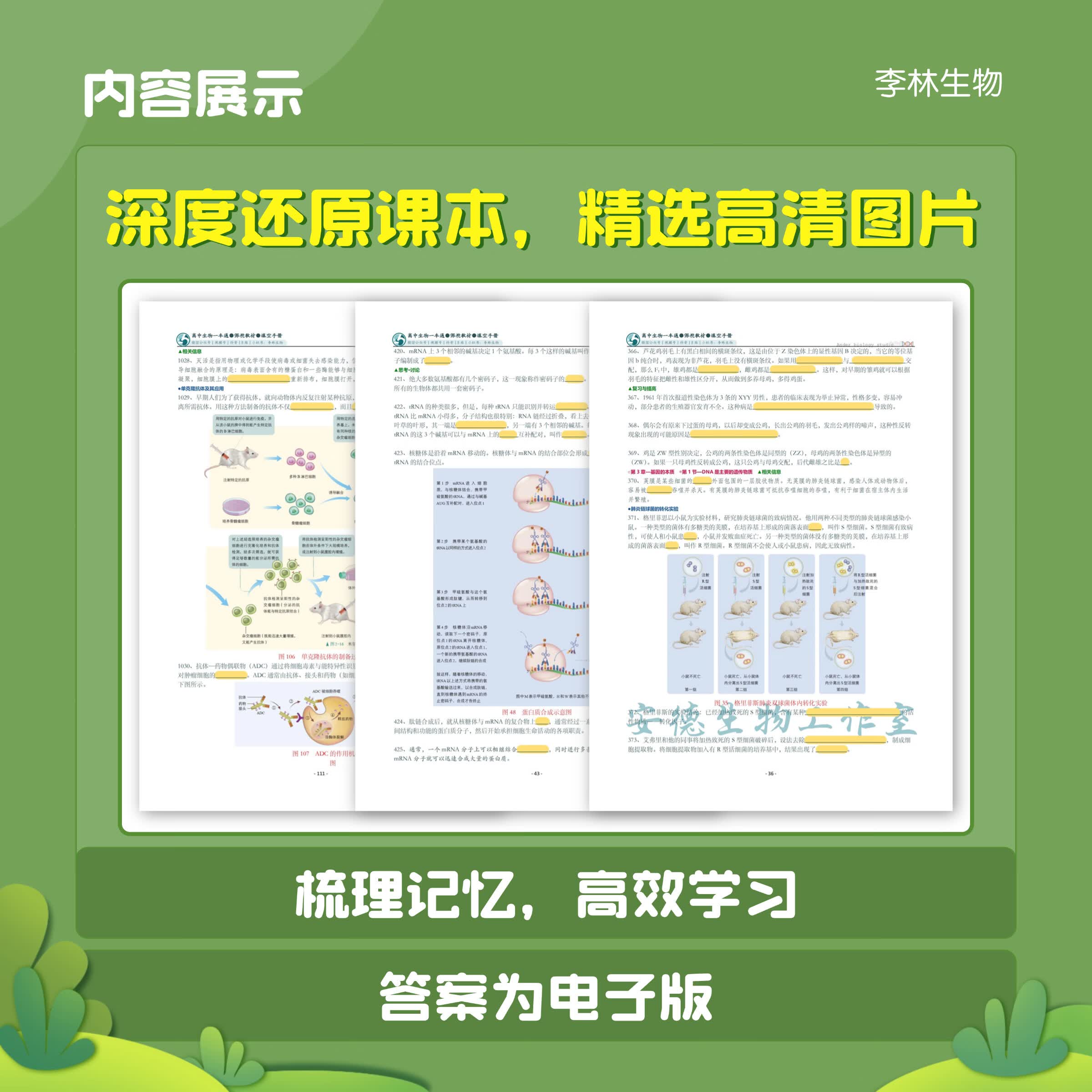 2026新版李林高中生物一本通高考必备基础李林生物遗传学讲义新教材思维导图视频讲解清单手册选择性必修高一高二高三考一轮总复习教辅高一高二高三全国通用 【组合搭档】高中数学讲与练+生物一本通 高中通用