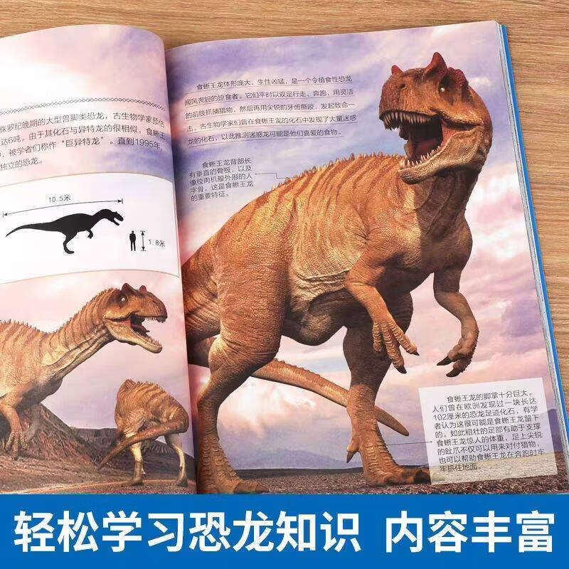 恐龙世界寻宝记闪电幻兽神奇陨石神奇异能果黑水晶柱全4册6-9-12岁小学生科普百科科学漫画书儿童中国地理科普书领略非同寻常的史前风景恐龙时代绘本 神兽小剧场全套【9册】 寻宝记系列