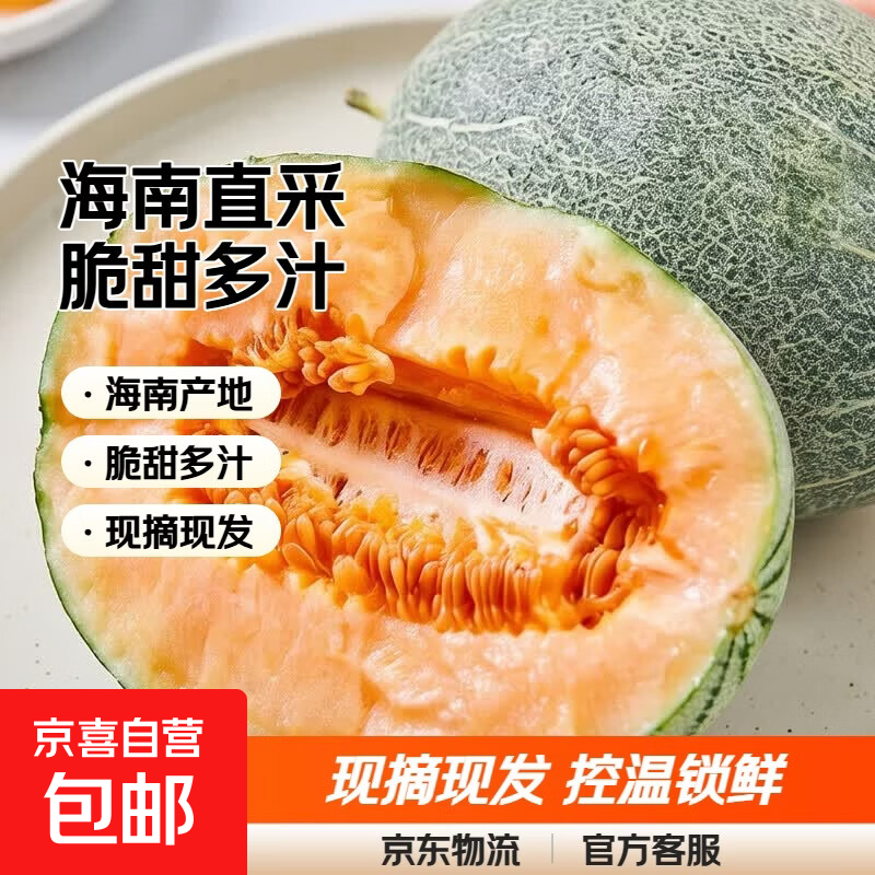 正宗海南哈密瓜脆甜9斤当季新鲜水果甜整箱包邮现摘网纹瓜西州蜜 甄选哈密瓜带箱9-10斤【净重8-9斤】