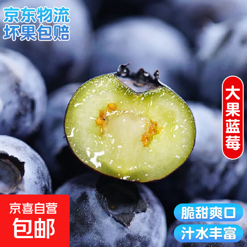 国产云南超大果蓝莓【多地JD快递】新鲜蓝莓 孕妇精选水果 4盒装 多买多划算【70-90g/盒】 中果【单果15mm+】