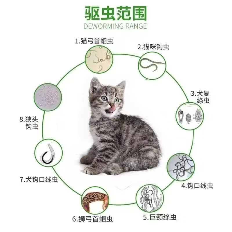 Bepanthen德国进口拜宠清猫咪口服体内驱虫绦虫蛔虫绦虫 八粒拆售[不带盒］ 8粒*1板