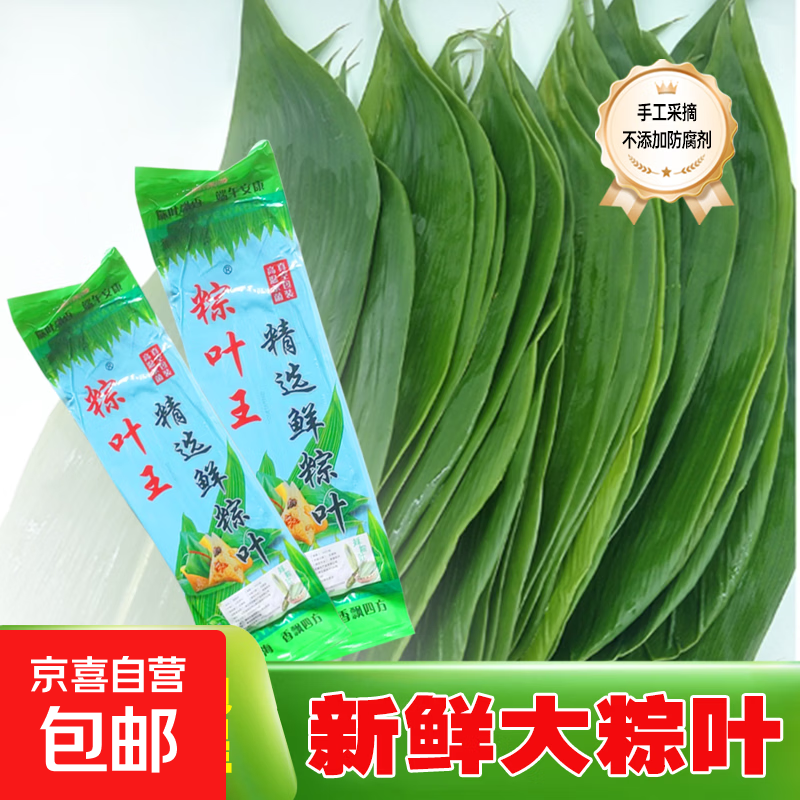 【“粽”享安康】新鲜粽子叶端午节宽大天然鲜粽叶包粽子送捆绳子 野生鲜粽叶50片一包（叶宽7-11cm）