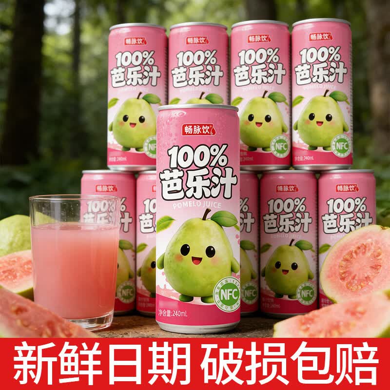 畅脉饮夏季饮品酸甜可口罐装240ml芭乐汁0添加健康整箱解渴饮 山竹汁240ml*8罐