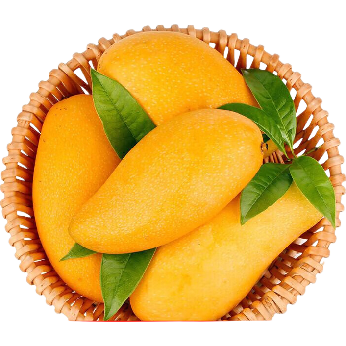 ���Ϲ�԰ֱ�� ����������â�� 5�ﺬ�� ����4.5�� 300g 12.9Ԫ������5��