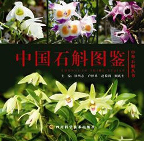 中国石斛图鉴【正版好书，下单速发】