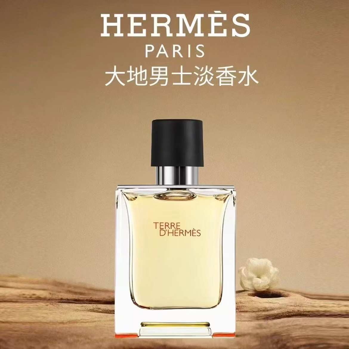 爱马仕（HERMES）大地淡香氛50ml男士淡香水木质调生日礼物送老公 大地淡香水100ML 赠礼盒礼袋