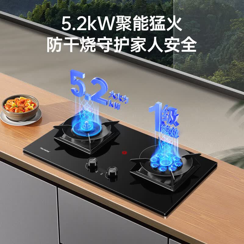Haotaitai天然气燃气灶双灶台灶具液化气煤气灶猛火灶灶具 天然气12T 【防干烧+定时+九头猛火灶】2419-SD